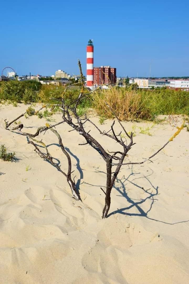 L'Alteia - L'Appartement Les Pieds Dans L'Eau Avec Place De Parking Prive Et Acces Direct A La Plage Berck Kültér fotó